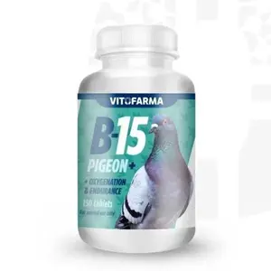 Oxygenation and Endurance – B15 for Pigeon 150 Tablets