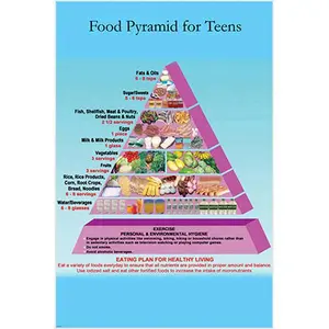 Healthy Eating Food Pyramid for Teens Educational Aid Diet Recommendations Nutrition Advice Poster 24X36 Decor Ornaments
