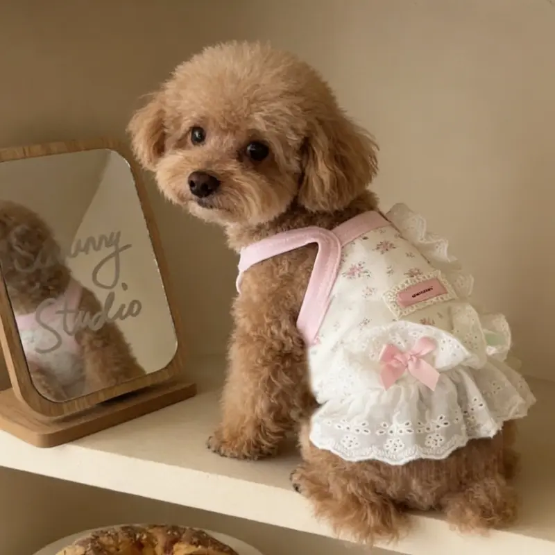 Cute Sweet Princess Style Pet Suspender Dress, Bow Decor Summer Pet Outfit, Costume, Breathable Anti Hair Shedding Clothes for Small Dogs and Cats, Puppy Clothes, Kitten Clothes