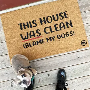 BLAME MY DOGS MAT