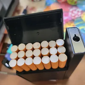 Outdoor Portable Windproof Lighter Case, USB Charging Lighter Box for Livingroom Bedroom Office Outdoor(Without Butane Gas)