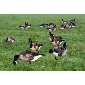 Real-Geese Pro II Lite Canada Sillhouette