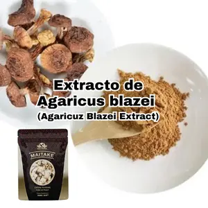Agaricus Blazei Extract 100 Grams per Bottle - Supports Immune System Health, Hot Prepared, Organic, Single Item for All Ages - Healthcare, Dietary Supplement Healthy