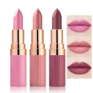 Long Lasting Waterproof 24 Hours Matte Lipstick for Women - Christmas Makeup - Lipstick, Matte Gloss Lipgloss