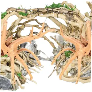 【SummerVibes】2pcs Natural Wood Aquarium Decor for Reptile Tanks Lizard Decoration Driftwood Craft for Fish Tank Landscape Stable Base for Aquatic Environments