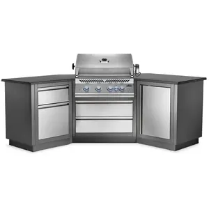 Patio Outdoor Kitchen Grill - Patio Elegance OASIS™ 200 with Built-in 700 Series 32" Gas Grill