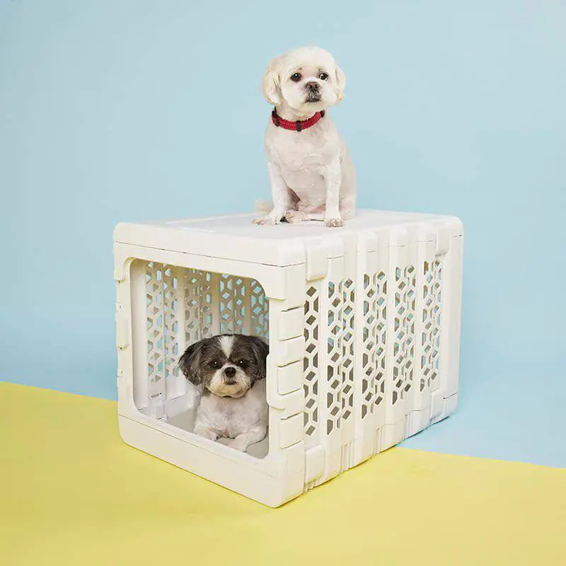Kindtail - PAWD  Modern Collapsible Dog Crate Pet Supplies