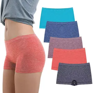 Women's Boyshort Panties Seamless Nylon Underwear Stretch Boxer Briefs 5 Pack