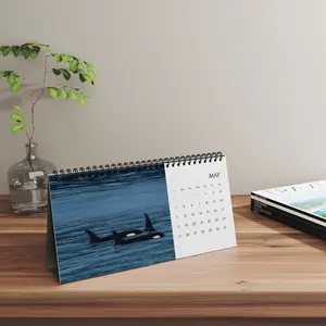 2025 Personalized Desk Calendar Featuring Alaska's Wildlife Photography desk calendar