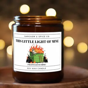 Funny Gift Candle for Friends Coworkers and Anyone Who Loves Humor and Sarcastic Home Decor – This Little Light of Mine Candle
