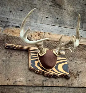 Oklahoma Antler Mounting Kit (Instructional Video) (All States Available)