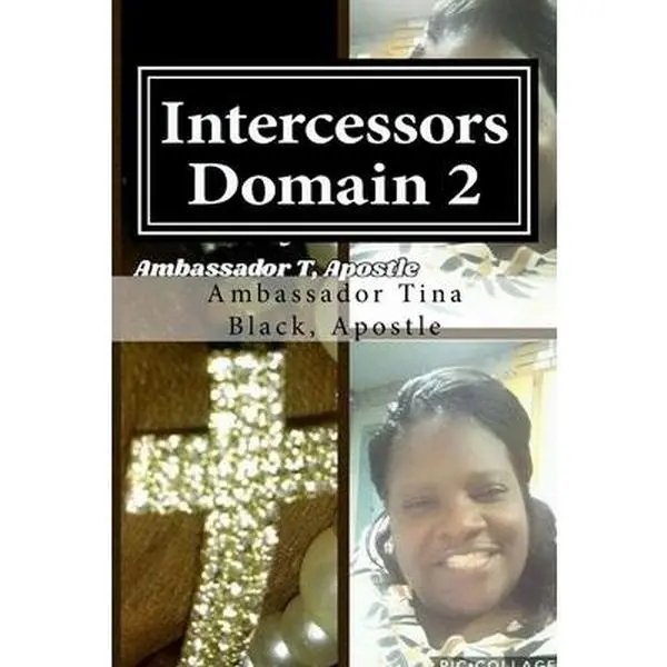 USED-Intercessors Domain 2: The Clarion Call by Apostle, Ambassador Tina Black (Paperback)