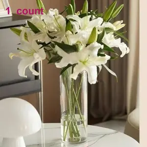 Light luxury vase  Cylindrical vase  Transparent vase  Living room decorative vase，1  count