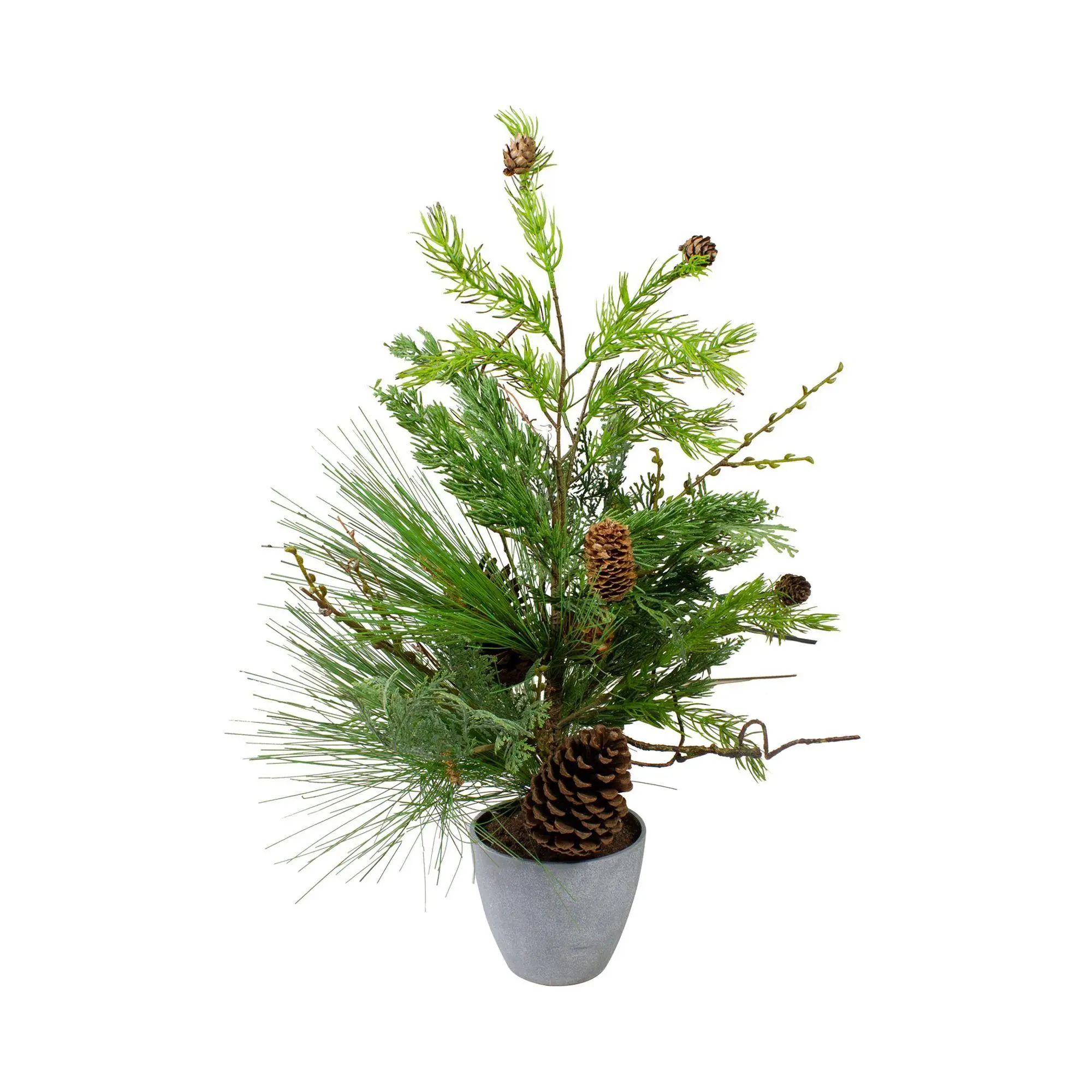 Northlight 2' Potted Mixed Pine Cedar and Twig Tree - Unlit