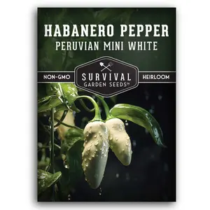 Mini White Habanero Seeds - Peruvian White Chile