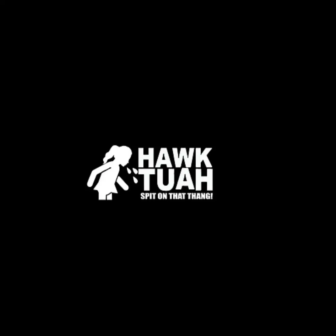Hawk tuah car decal!