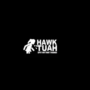 Hawk tuah car decal!