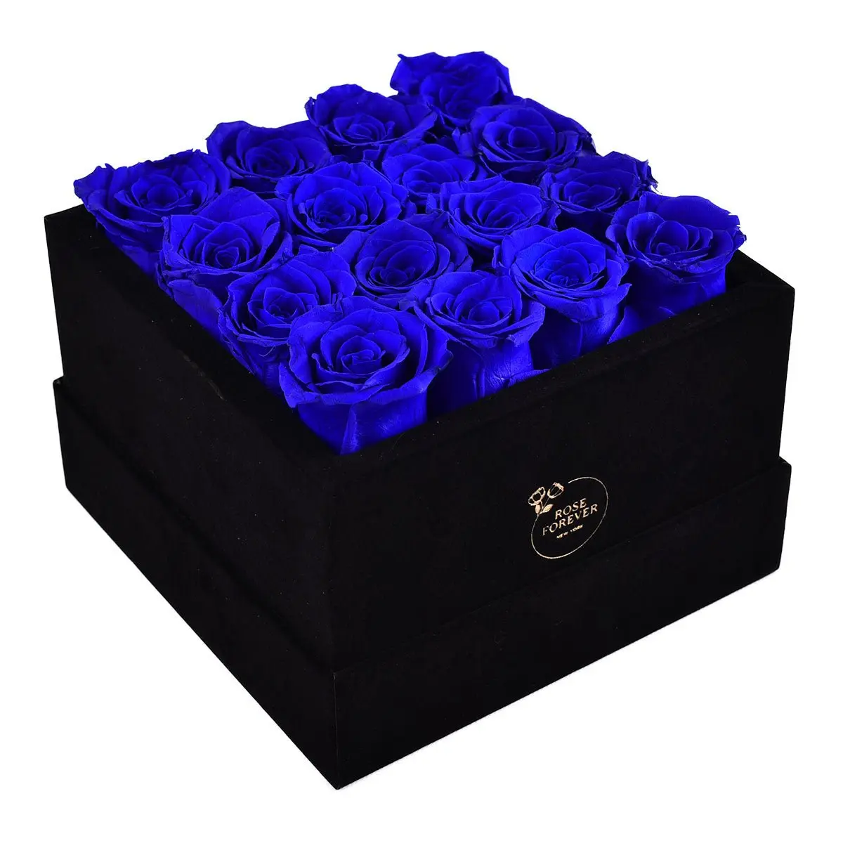 16 Royal Blue Roses - Black Square Velvet Box