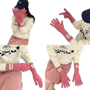 Winter Women's Thermal Gloves Five-Finger Touch Screen Dew Finger Warm Solid Color Knitted Long Windproof Riding Versatile Full Touchscreen Compatible
