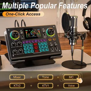 Dual-mic DSP Sound Card Kit Recording