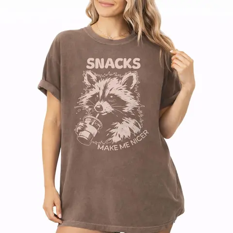Comfort Colors Snacks Make Me Nicer Shirt, Funny Raccoon Shirt, Trash Panda Meme Graphic Tee, Gift for Raccoon Lovers