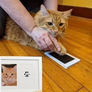 Pet Paw Print Pad for Cats and Dogs, Easy to Clean and Safe Keepsake, Quick-Drying Ink for Creative Pet Memorable Gifts