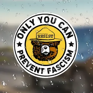 Only You Can Stop Fascism Resistance Sticker, Anti-Fascist Political Statement Decal, Show Your Stand Against Hate & Discrimination, Adhesive Stickers, Waterproof Stickers