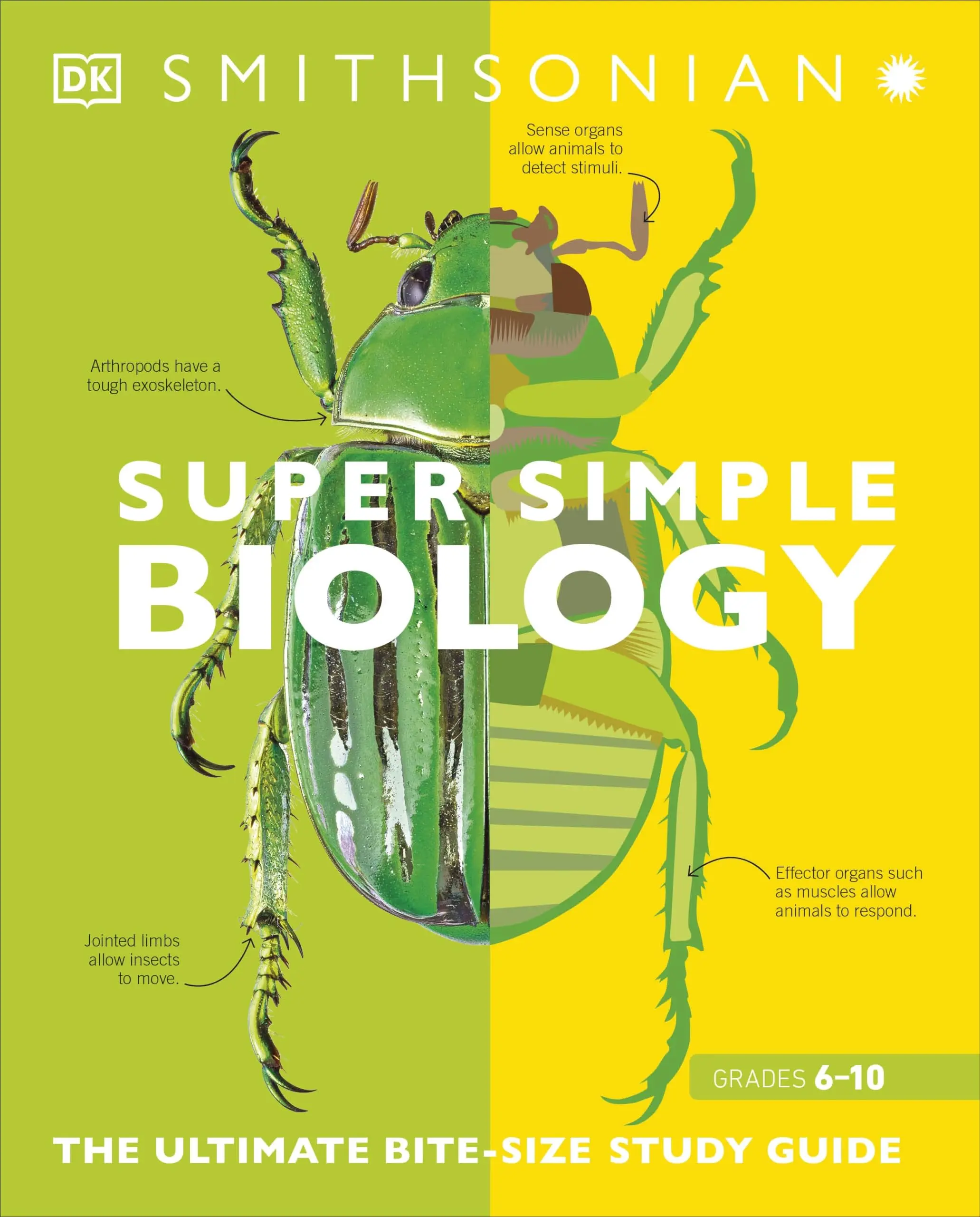 Super Simple Biology: The Ultimate Bitesize Study Guide -- DK - Paperback
