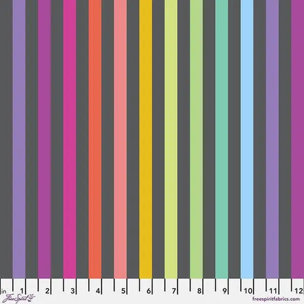 Fabric FreeSpirit Tula Pink Carbon Disco Stripe True Colors Graywork by the Quarter Yard PWTP231.CARBON