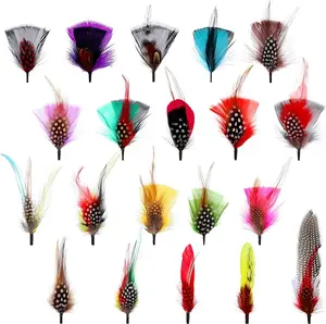 20 Pcs Hat Feathers, Assorted Feathers for Hats Colorful Real Feathers Accessories for Men Women(Stylish Style)