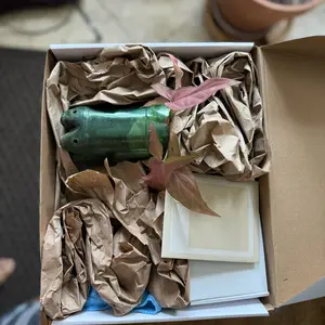 Kokedama Starter Kit - Perfect for Beginners