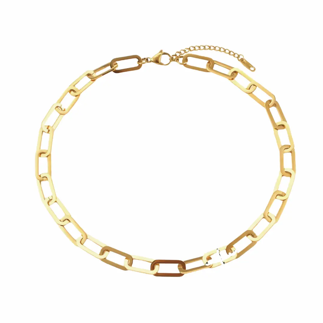 Chunky PaperClip Necklace Chunky PaperClip Necklace