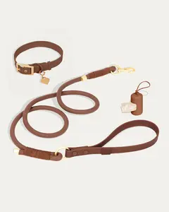 Flow Rope Leash & Collar Kit - Cocoa