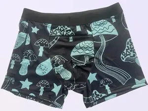 Crouching Tiger Hidden Boxers - Breathable Rave Travel Boxers - Secure Soft Comfortable Anti-theft Menswear