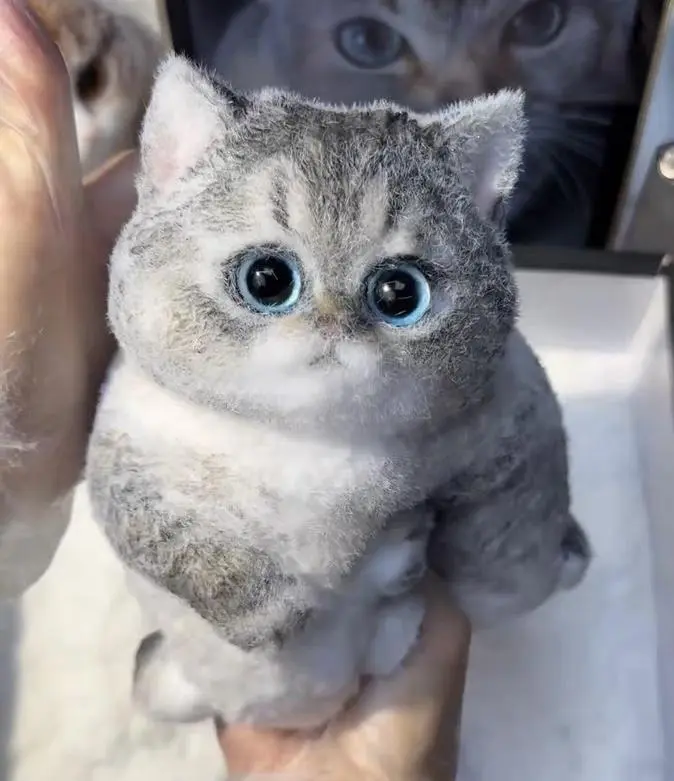 Handmade DIY Flocked Chubby Brown & Gray Tabby Cat Squishy | Food-Grade Silicone Stress Relief Toy