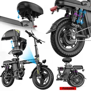 GS5 700W Motor 48V15AH Battery 32 Miles Range Easy Ride Comfortable Commuting Foldable Electric Bike
