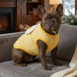 Frenchie Sunny Egg Summer Tank – Yellow Striped Tee Designed for French Bulldogs