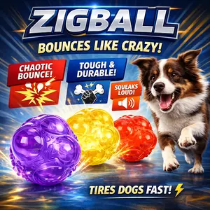 ZIGBALL Squeaky Dog Ball – Crazy Erratic Bounce Interactive Toy