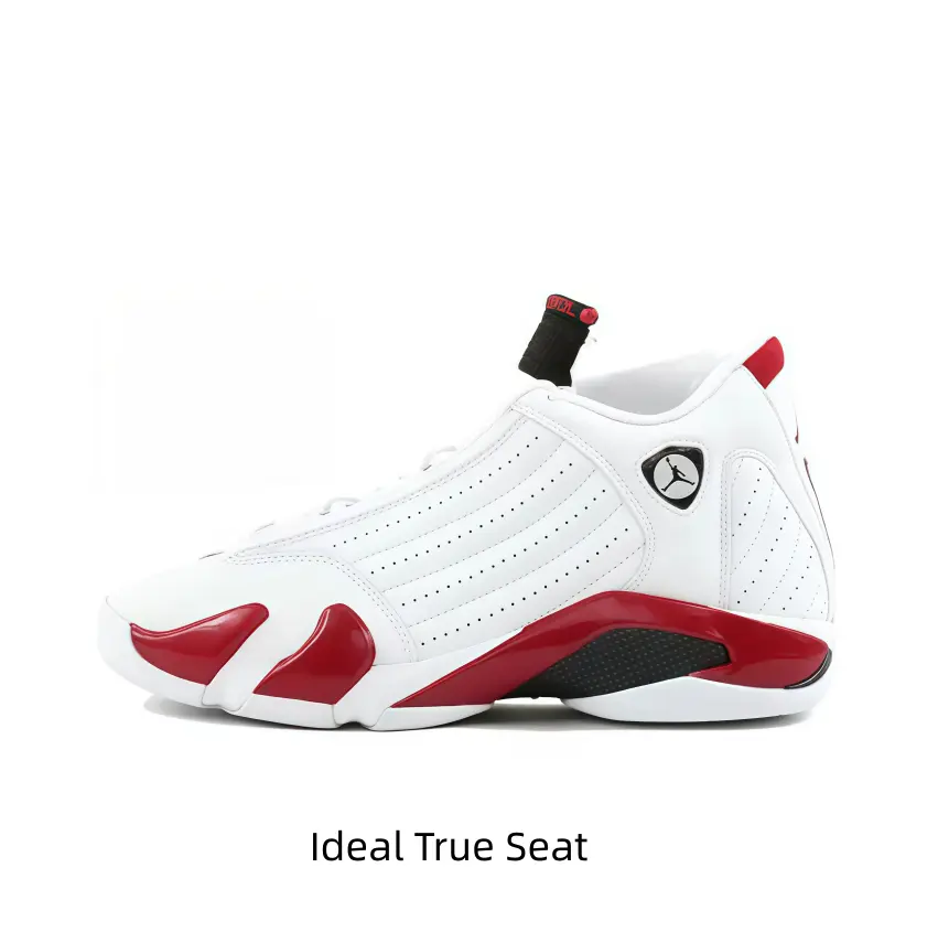 Artistic Sole Design Collectible Sports Shoes Artistic Sole Design Collectible Sports Shoes