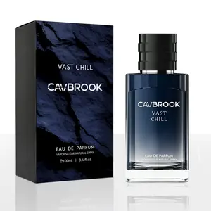Cavbrook Vast Chill Eau de Parfum 100ml / 3.4 fl oz for Men | Aromatic Fougere Fragrance with Calabrian Bergamot, Lavender, Pink Pepper, Ambroxan & Cedar | Long Lasting EDP | Fresh Masculine Perfume for Men