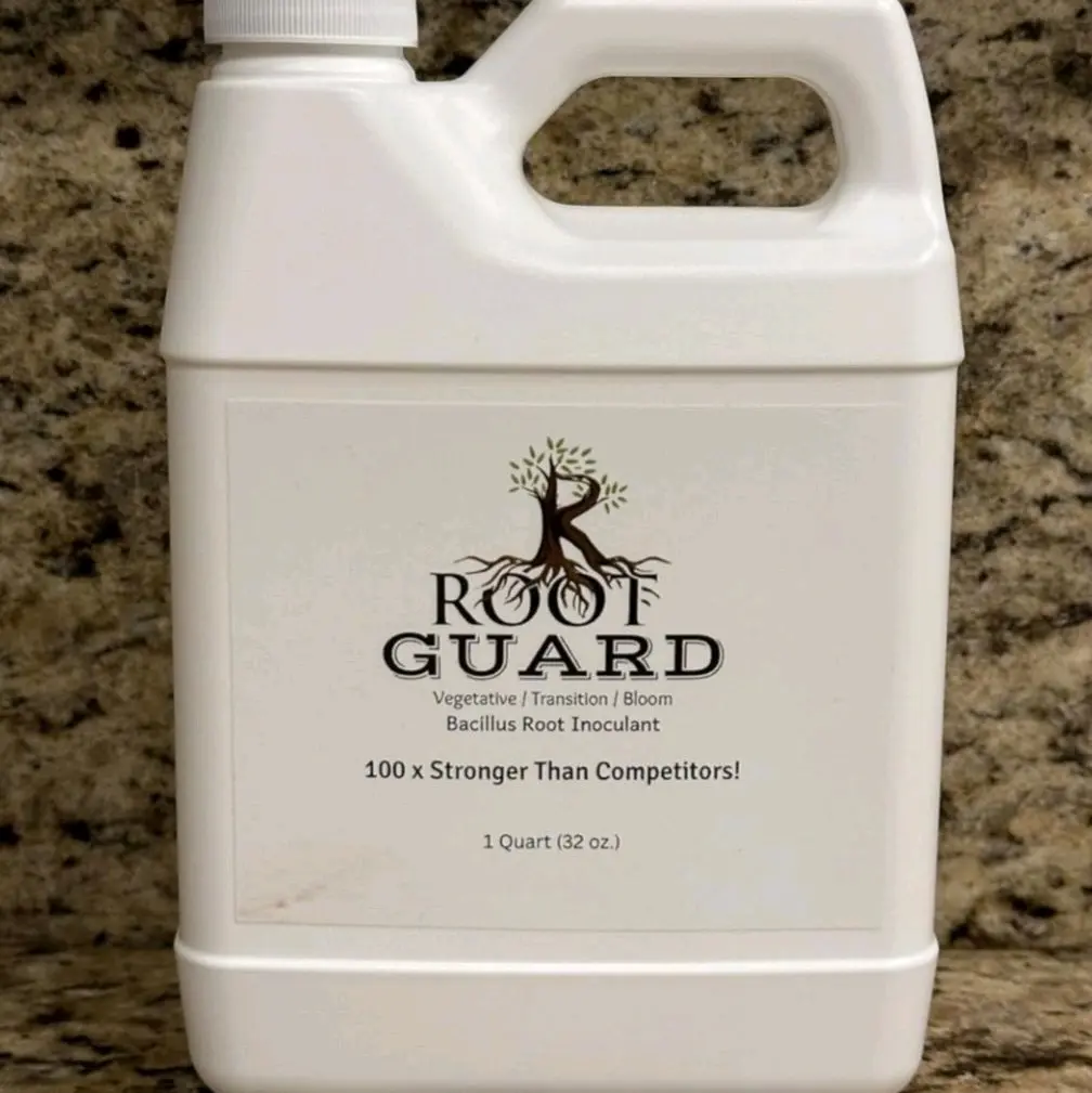 Root Guard