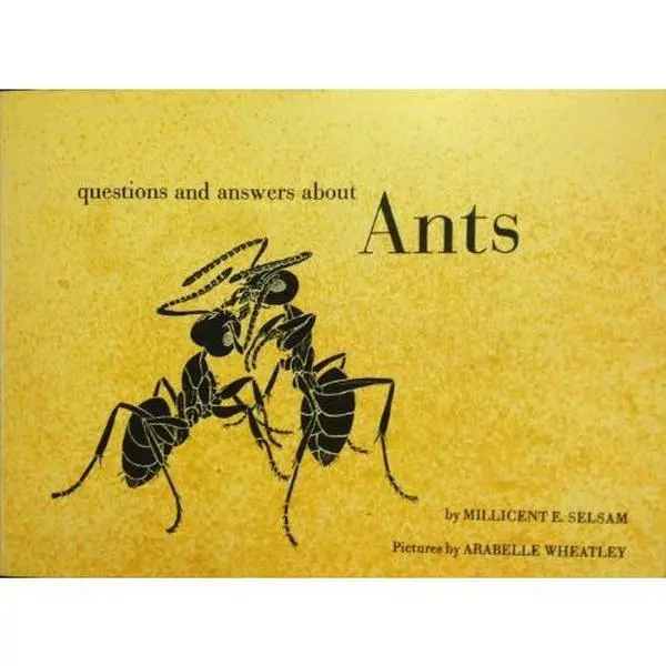 USED-Questions and Answers About Ants by millicent selsam (Paperback)