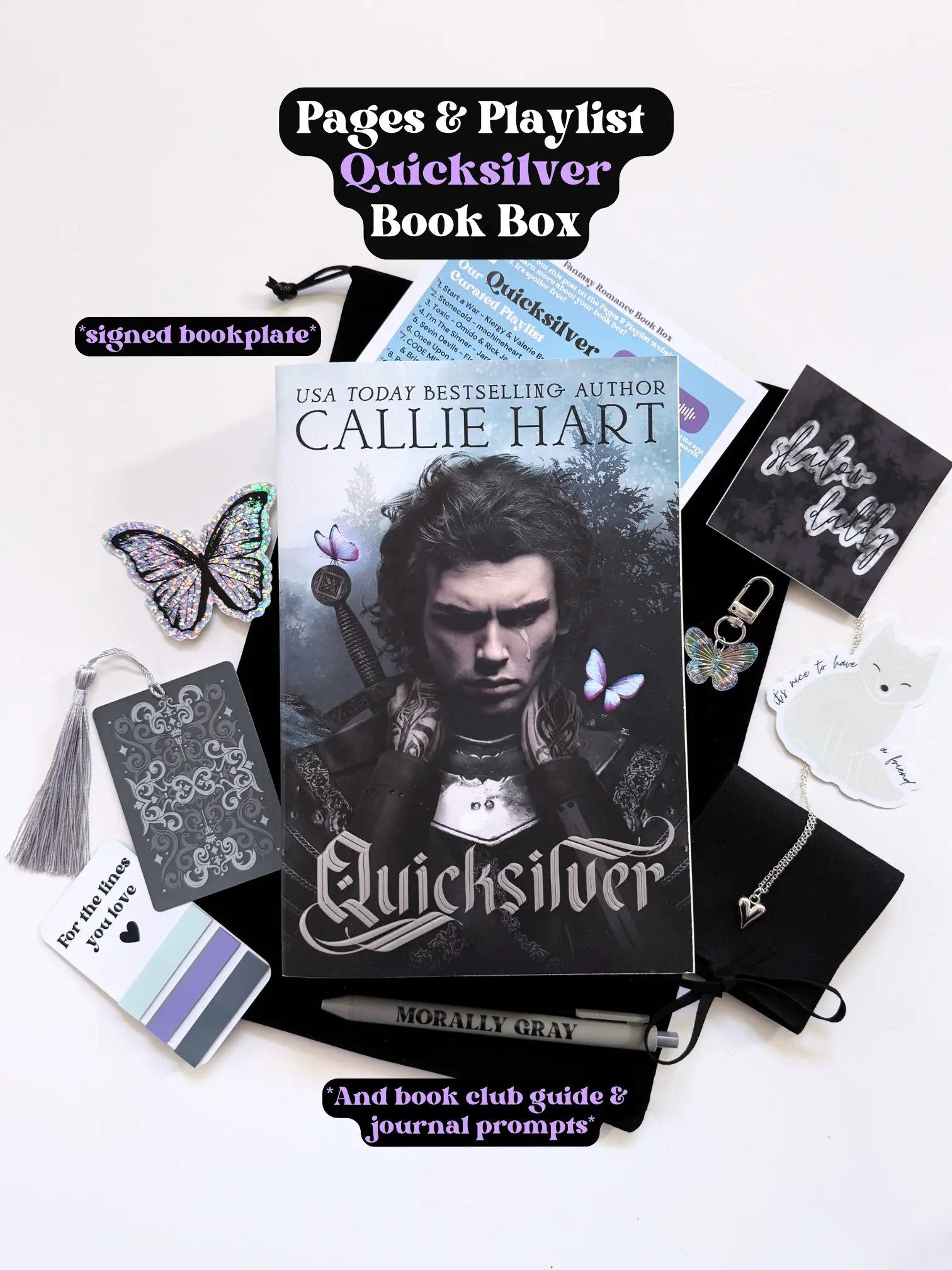 Quicksilver Book Box - Signed Bookplate, Curated Playlist, Bookish Merch, Stickers, Bookmark, Digital Backgrounds & More