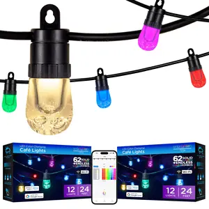 Enbrighten Ecoscapes VIBE WiFi Color-Changing LED Cafe Lights, 12 Bulbs, 24ft. Black Cord, 2 pack