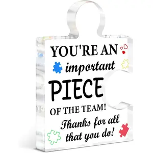 Team Appreciation Gifts for Employees Coworkers, Thank You Gifts for Team Members Staff Supervisor Leader Boss, Christmas Birthday Gift for Colleague, Acrylic Puzzle Piece Office Desk Decor, Decorative Plaque