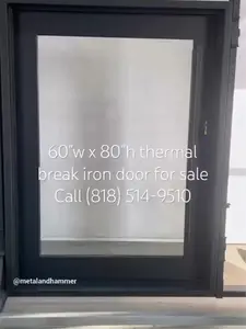 Metal & Hammer Glass Iron Pivot Door 60" wide x 80" high
