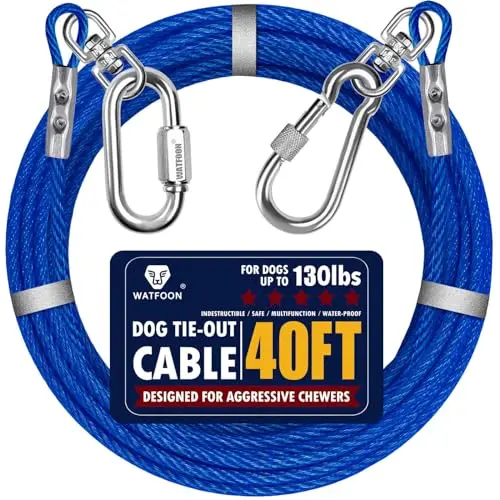 40ft Blue