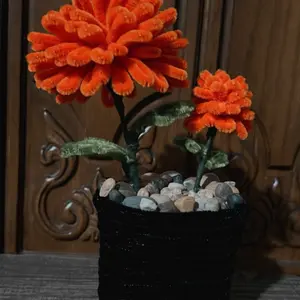Flores de Cempasúchil Marigold Plant in Black Basket with Orange Flowers