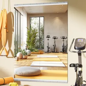 Home Gym Mirror, 55'' x 21'' x 2 count, Large Full  Mirror for Yoga, Frameless Tempered Glass, Wall Mounted for Home Gym, Garage, Bedroom, Bathroom