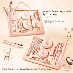10-Piece Makeup Set, Foundation, Lip Gloss, Lipstick, Dual-Ended Eyebrow Pencil, Eye Liner, Concealer, Setting Powder, Primer, Mascara, Blush Brush, Gift Box